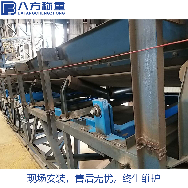 电子皮带秤传感器